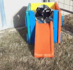 A Goat Is Playing On An Orange Slide In A Playground GIF