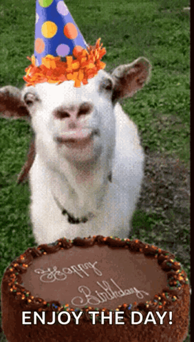 a goat wearing a party hat standing next to a birthday cake