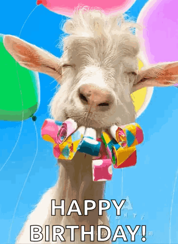 a goat with balloons in its mouth and the words happy birthday on the bottom