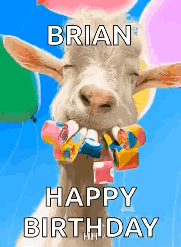 A Goat With Balloons In Its Mouth Says Happy Birthday GIF