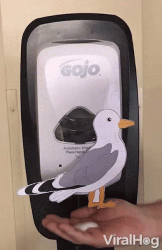 A Gojo Hand Sanitizer Dispenser With A Seagull Standing On It GIF