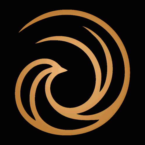 A Gold Circle With A Black Background And A Swirl In The Center GIF