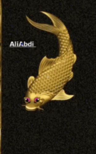 A Gold Fish Is On A Black Background With The Name Aliabdi On It GIF
