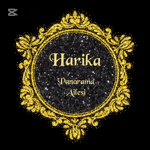A Gold Frame With The Name Harika Panorama Ailesi GIF