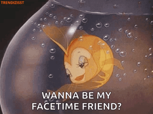 A Goldfish In A Fishbowl Says " Wanna Be My Facetime Friend ? " GIF