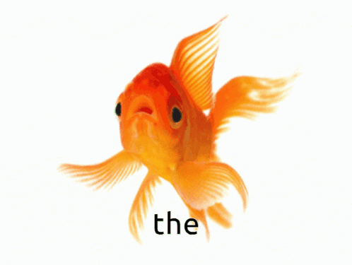 A Goldfish With The Word The On The Bottom Right GIF