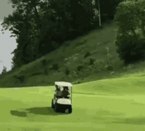 A Golf Cart Is Driving Down A Lush Green Field GIF