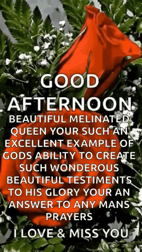 A Good Afternoon Beautiful Medicated Queen Your Such An Excellent Example Of Gods Ability To Create Such Wonderful Beaut GIF