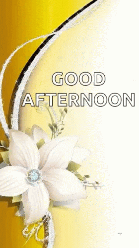 A Good Afternoon Card With A White Flower On A Yellow Background GIF