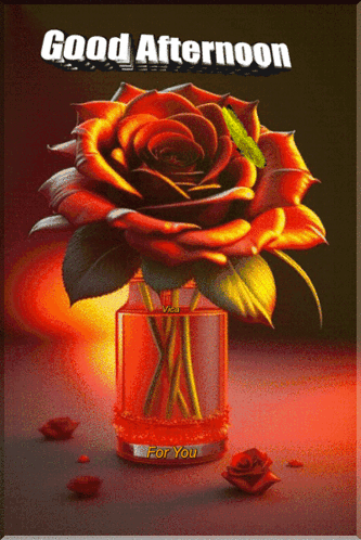 A Good Afternoon Greeting Card With A Red Rose In A Glass Vase GIF