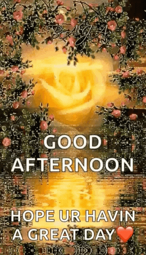 A Good Afternoon Greeting Card With A Rose And Flowers In The Background . GIF