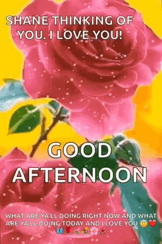 A Good Afternoon Greeting Card With Pink Roses GIF