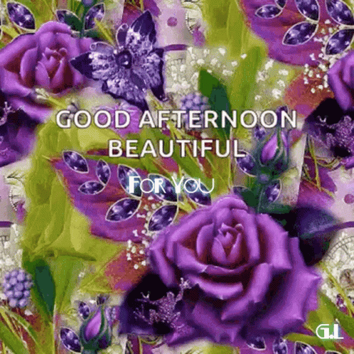 A Good Afternoon Greeting Card With Purple Roses And Butterflies GIF