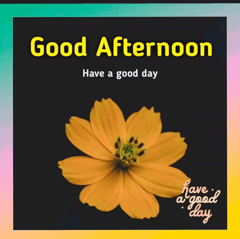 A Good Afternoon Message With A Yellow Flower GIF