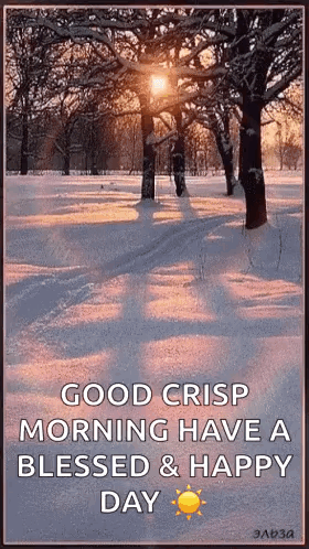 A Good Crisp Morning Have A Blessed & Happy Day GIF