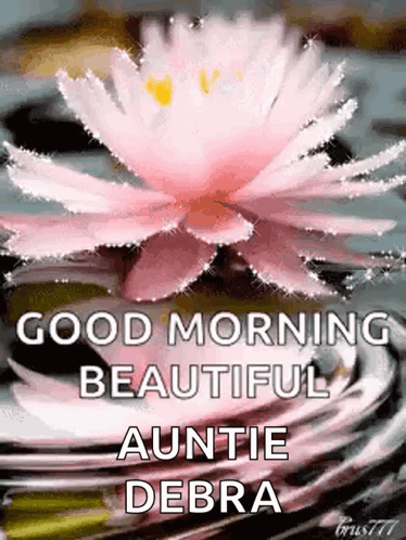 A Good Morning Beautiful Auntie Debra Greeting Card With A Pink Lotus Flower In The Water . GIF