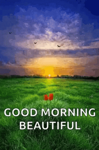 A Good Morning Beautiful Greeting Card With A Field Of Grass And A Sunset In The Background GIF