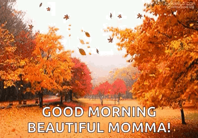 A Good Morning Beautiful Momma Greeting Card With Autumn Leaves Falling From Trees . GIF