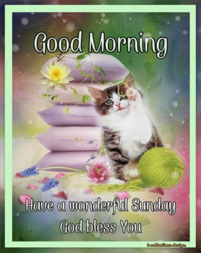 A Good Morning Card With A Cat Sitting On A Pile Of Pillows GIF