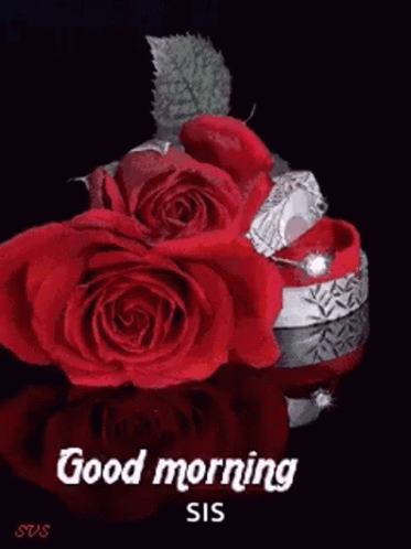 A Good Morning Card With An Orange Rose In The Water GIF