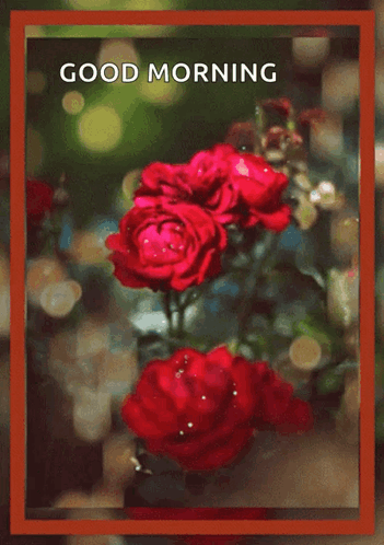 A Good Morning Card With Red Roses And A Heart On It GIF