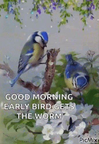 A Good Morning Early Bird Gets The Worm GIF