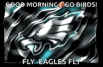 A Good Morning Go Birds ! Fly Eagles Fly ! GIF