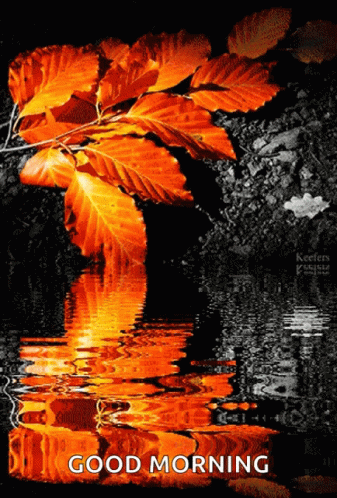 A Good Morning Greeting Card With A Tree Branch And Leaves GIF