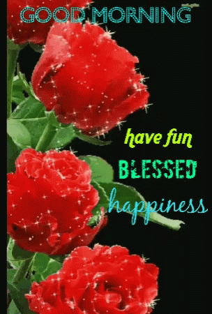 A Good Morning Greeting Card With Red Roses And The Words Have Fun Blessed Happiness GIF