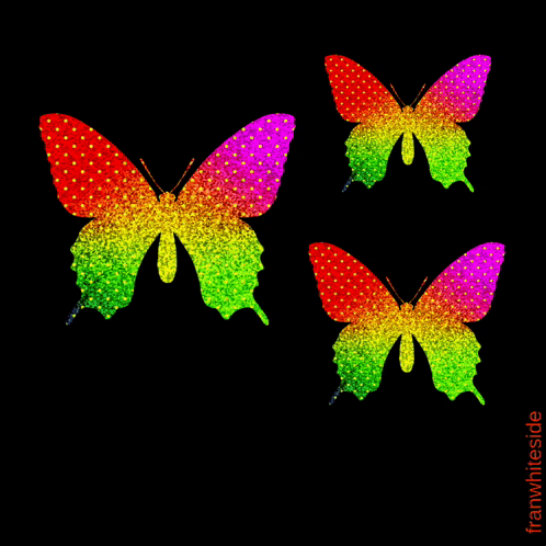 A Good Morning Greeting Card With Three Colorful Butterflies On A Black Background GIF