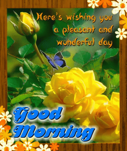A Good Morning Greeting Card With Yellow Roses And A Blue Butterfly GIF