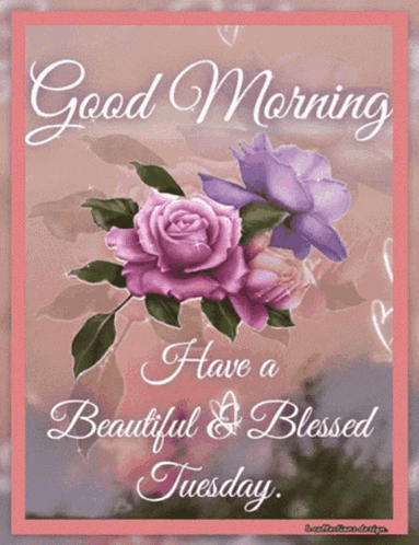 A Good Morning Have A Beautiful Blessed Tuesday Card GIF