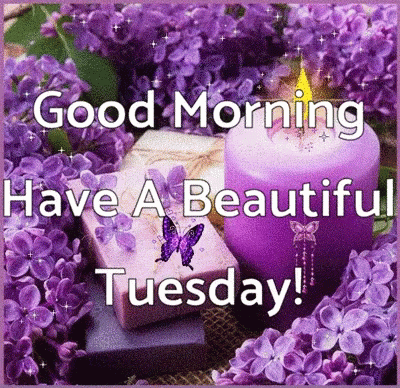 A Good Morning Have A Beautiful Tuesday Greeting Card With Purple Flowers And Candles GIF