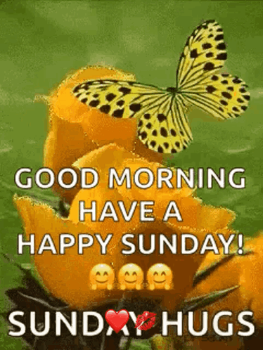 A Good Morning Have A Happy Sunday ! Sunday Hugs GIF
