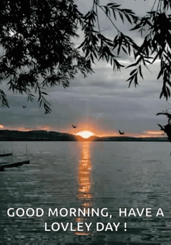 A Good Morning , Have A Lovley Day ! GIF