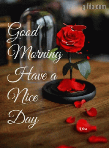 A Good Morning Have A Nice Day Card With A Rose In A Glass Dome GIF