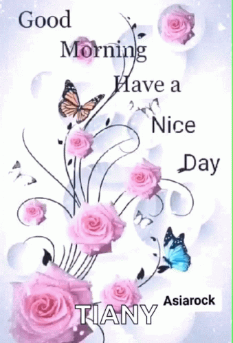 A Good Morning Have A Nice Day Card With Pink Roses And Butterflies GIF