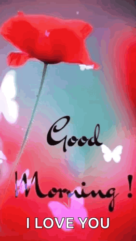 A Good Morning I Love You Greeting Card With A Red Flower And Butterflies . GIF