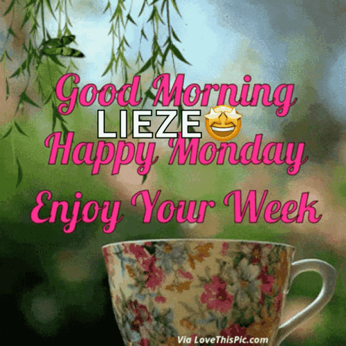 A Good Morning Lize Happy Monday Enjoy Your Week Picture GIF