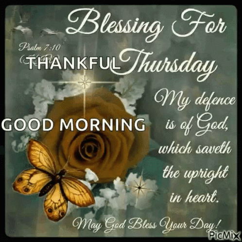 A Good Morning Message With A Butterfly And A Rose GIF