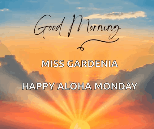 a good morning miss gardenia happy aloha monday poster