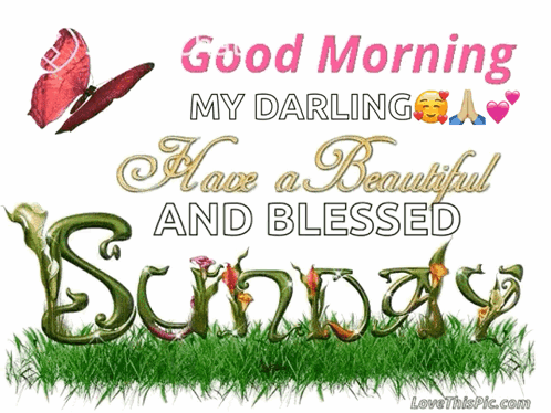 A Good Morning My Darling Have A Beautiful And Blessed Sunday Picture GIF