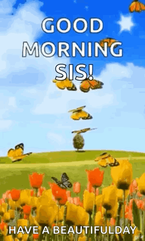 A Good Morning Sis Greeting Card With Butterflies Flying Over A Field Of Flowers GIF
