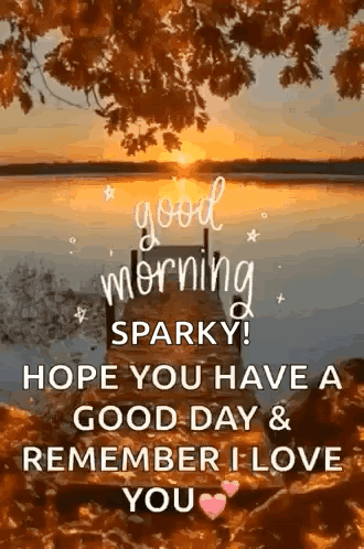 A Good Morning Sparkly ! Hope You Have A Good Day & Remember I Love You . GIF