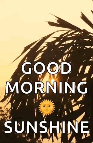 A Good Morning Sunshine Greeting Card With A Sun And A Palm Tree GIF