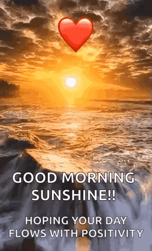 A Good Morning Sunshine !! Hoping Your Day Flows With Positivity . GIF