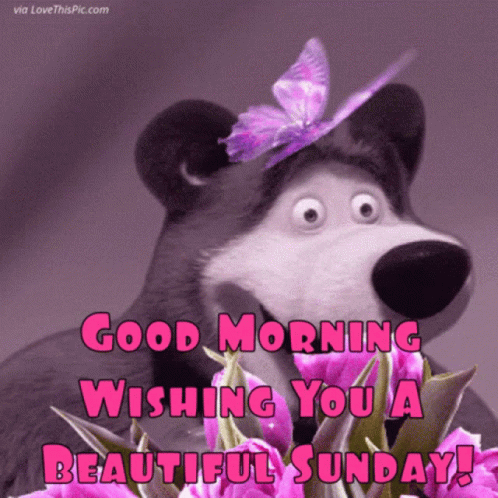A Good Morning Wishing You A Beautiful Sunday With A Bear With A Butterfly On Its Head GIF
