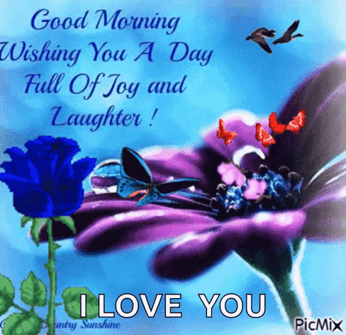 A Good Morning Wishing You A Day Full Of Joy And Laughter . GIF