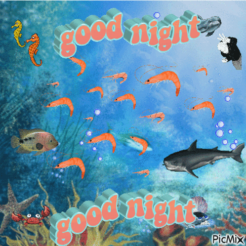 A Good Night Greeting Card With A Shark And Shrimp GIF