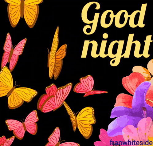 A Good Night Greeting Card With Butterflies And Flowers On A Black Background GIF
